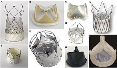 Frontiers | Polymeric Prosthetic Heart Valves: A Review Of Current ...